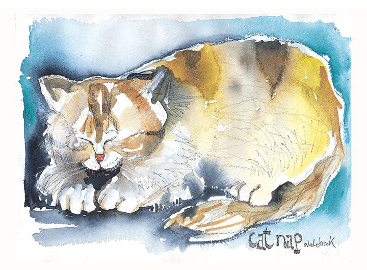 Signed Cat Nap 11
